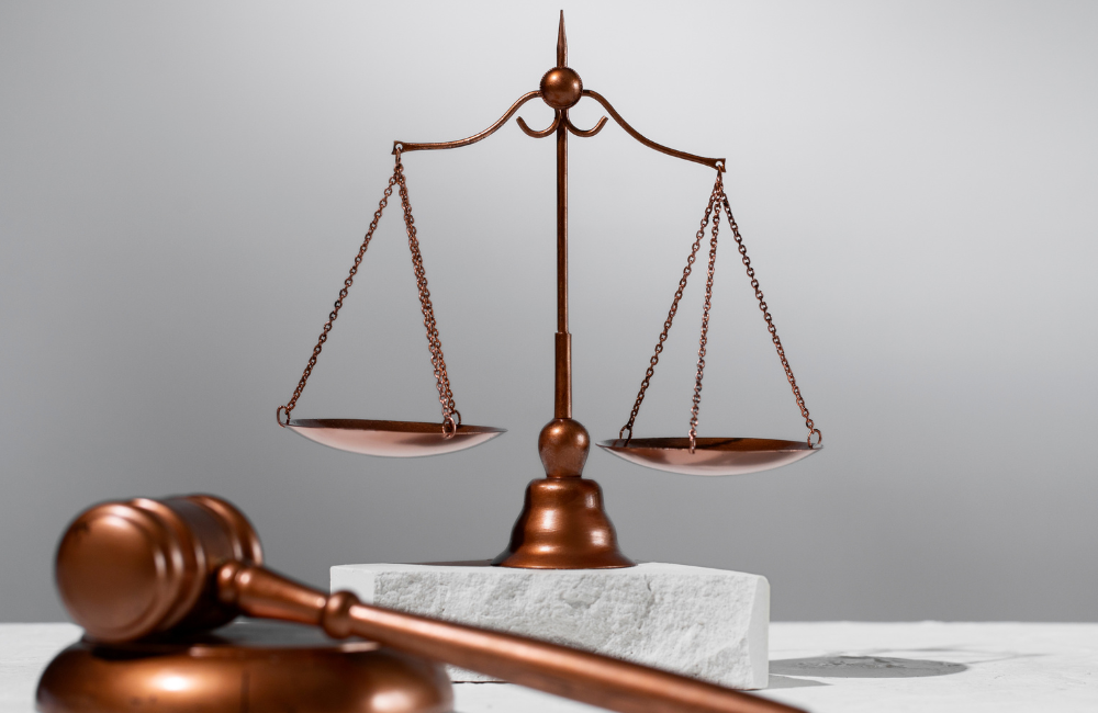 Da inconstitucionalidade do artigo 1.013, § 3º, do Código de Processo Civil.