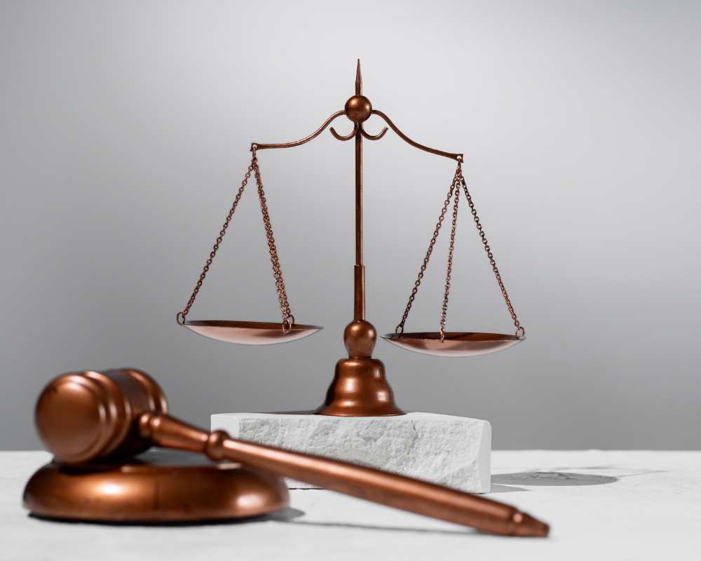 Da inconstitucionalidade do artigo 1.013, § 3º, do Código de Processo Civil.